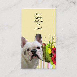 Visitekaartje van stierenhonden
