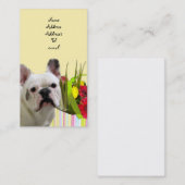 Visitekaartje van stierenhonden (Voorkant / Achterkant)