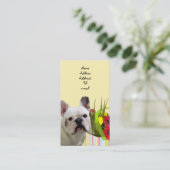 Visitekaartje van stierenhonden (Staand voorkant)