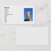 Visitekaartje van witte paarden (Voorkant / Achterkant)