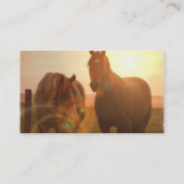 Visitekaartje van zonnepaarden (Achterkant)