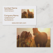 Visitekaartje van zonnepaarden (Voorkant / Achterkant)