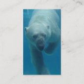 Visitekaartje van zwemblair Beer (Achterkant)