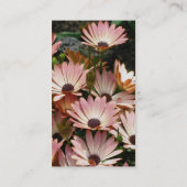 Visitekaartje voor Afrikaanse dagenbloem Fotografi (Achterkant)