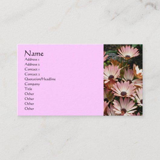 Visitekaartje voor Afrikaanse dagenbloem Fotografi (Voorkant)