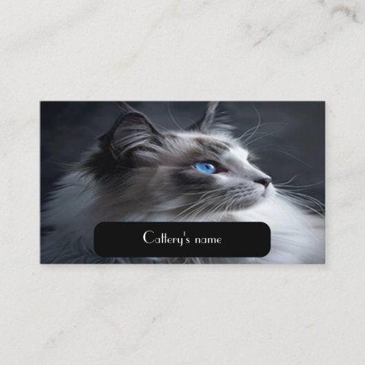 Visitekaartje voor Catteries Ragdoll Cat (Voorkant)