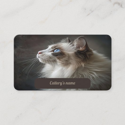 Visitekaartje voor Cattery Ragdoll (Voorkant)