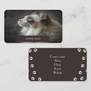 Visitekaartje voor Cattery Ragdoll