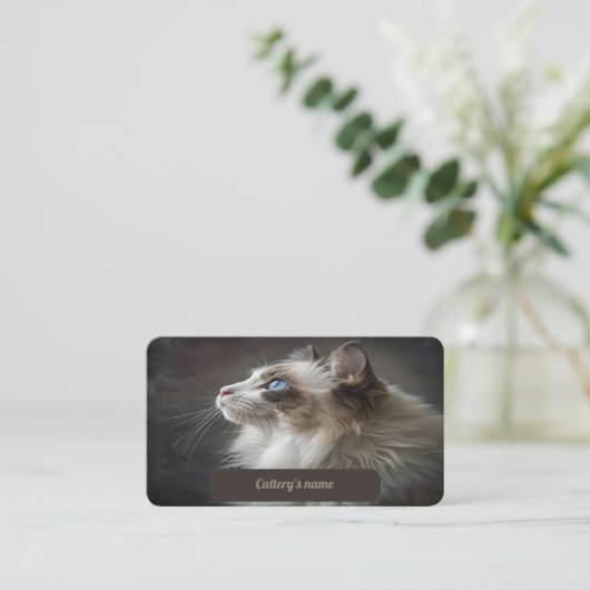 Visitekaartje voor Cattery Ragdoll (Staand voorkant)