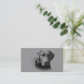 Visitekaartje voor de fokker van labrador Retrieve (Staand voorkant)