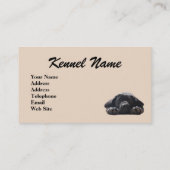 Visitekaartje voor de fokker van labrador Retrieve (Achterkant)