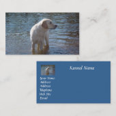 Visitekaartje voor de fokker van labrador Retrieve (Voorkant / Achterkant)