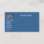 Visitekaartje voor de fokker van labrador Retrieve (Achterkant)