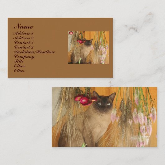 Visitekaartje voor de fotografie van siamese kat A (Voorkant / Achterkant)
