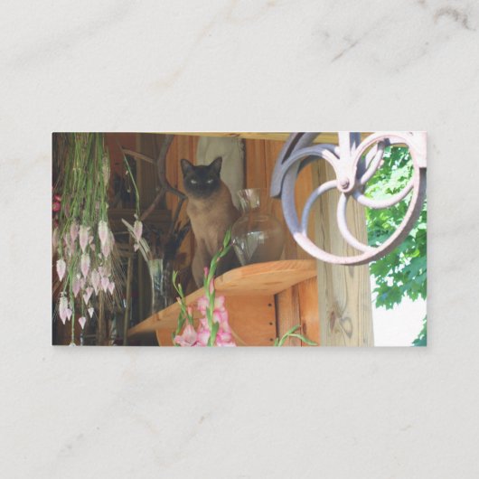 Visitekaartje voor de fotografie van siamese kat A (Achterkant)