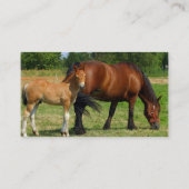 Visitekaartje voor graaspaarden (Achterkant)