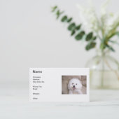 Visitekaartje voor het glimlachen van Bichon Frise (Staand voorkant)
