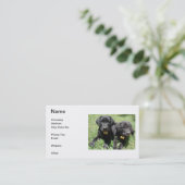 Visitekaartje voor labrador Retriever (Staand voorkant)