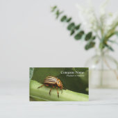 Visitekaartje voor ongedierte (Staand voorkant)