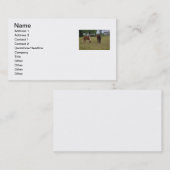 Visitekaartje voor paarden (Voorkant / Achterkant)