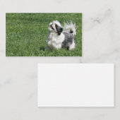 Visitekaartje voor Shih Tzu afspelen (Voorkant / Achterkant)