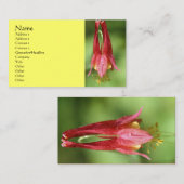 Visitekaartje voor wilde-Columbinevloerfotografie (Voorkant / Achterkant)