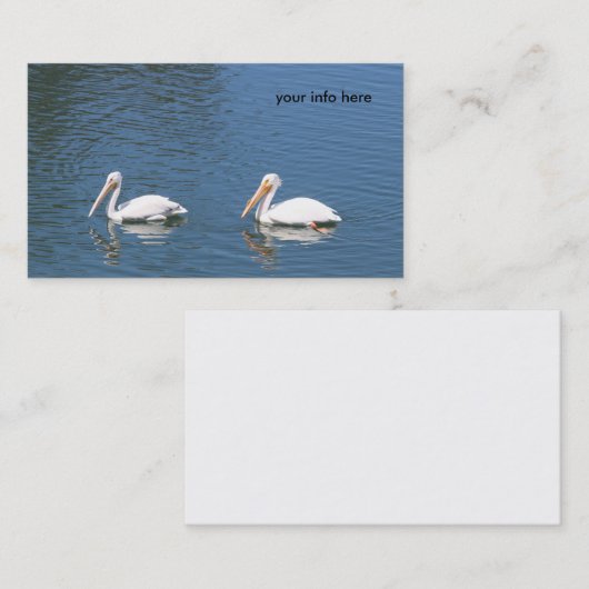 visitekaartje witte pelikanen (Voorkant / Achterkant)