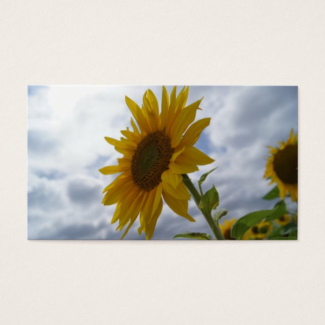 Visitekaartje zonnebloempel (Voorkant)