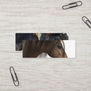 Visitekaartjes