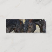 Visitekaartjes (Achterkant)