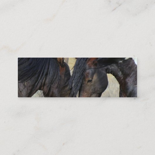 Visitekaartjes (Achterkant)