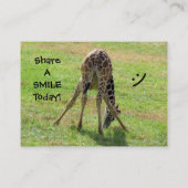 Visitekaartjes (Achterkant)