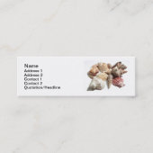 Visitekaartjes (Voorkant)