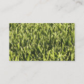 Visitekaartjes (Achterkant)