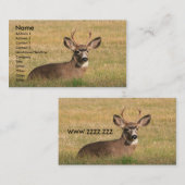 visitekaartjes (Voorkant / Achterkant)