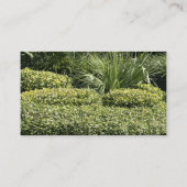 Visitekaartjes (Achterkant)