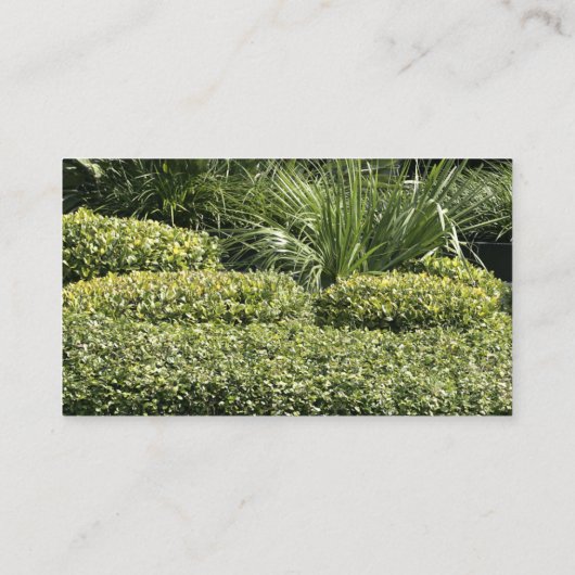 Visitekaartjes (Achterkant)