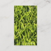 Visitekaartjes (Achterkant)