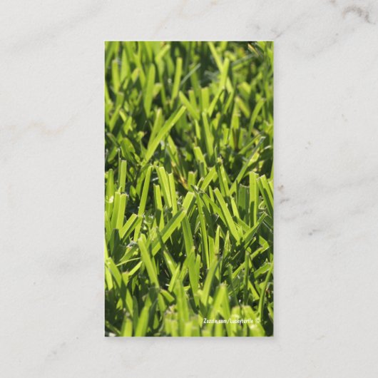 Visitekaartjes (Achterkant)