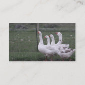 Visitekaartjes (Achterkant)