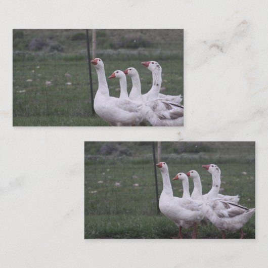 Visitekaartjes (Voorkant / Achterkant)