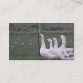 Visitekaartjes (Voorkant)