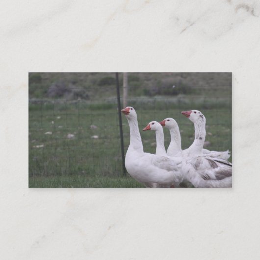 Visitekaartjes (Voorkant)