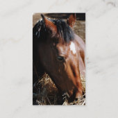 Visitekaartjes (Achterkant)