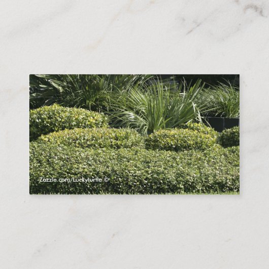 Visitekaartjes (Achterkant)