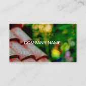 Visitekaartjes (Achterkant)