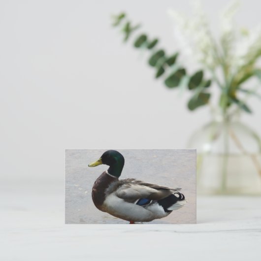 Visitekaartjes (Staand voorkant)