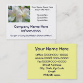 visitekaartjes Aangepaste appelbloesem (Voorkant / Achterkant)