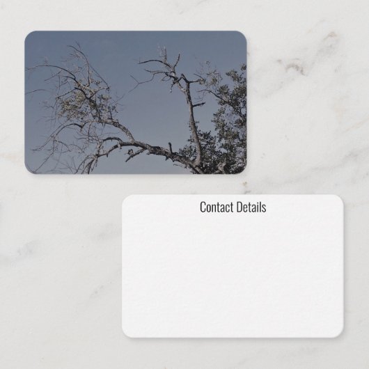 VISITEKAARTJES ART&DESIGN STIJL (Voorkant / Achterkant)