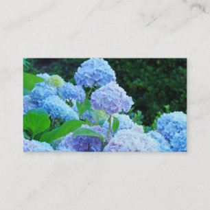 Visitekaartjes Blauwe Hortensia Bloemen Bloemmotie